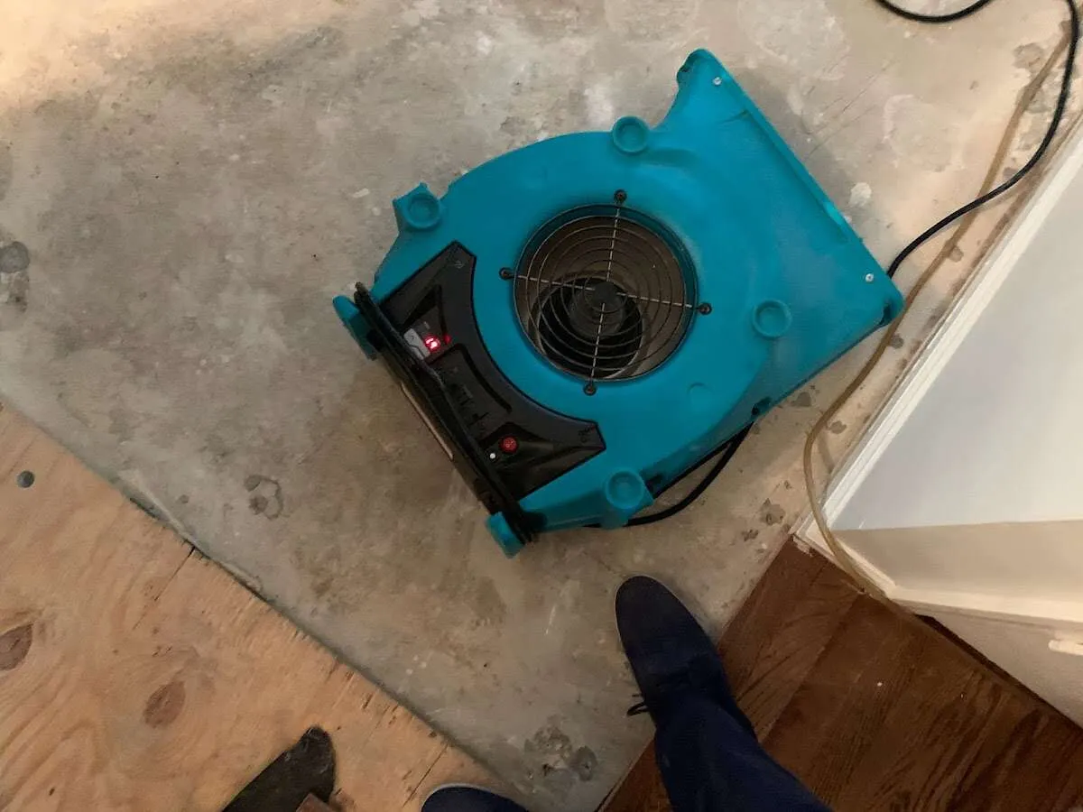 Air mover drying subfloor during Leak Detection & Repair in West Plains